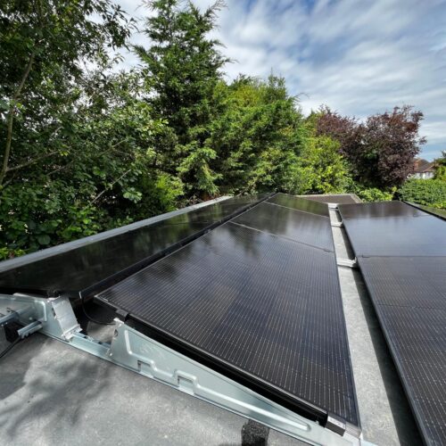 WhatsApp Image 2025-12-11 at 08.12.52