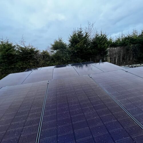 WhatsApp Image 2025-12-11 at 08.18.45 (3)