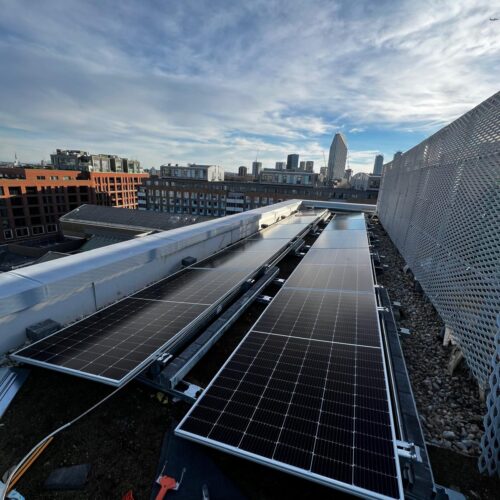 WhatsApp Image 2025-12-11 at 08.36.29 (1)