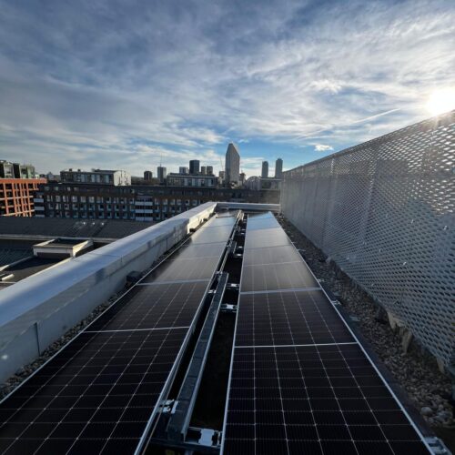 WhatsApp Image 2025-12-11 at 08.36.29 (2)