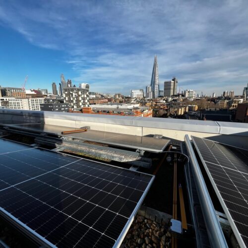 WhatsApp Image 2025-12-11 at 08.36.29 (3)