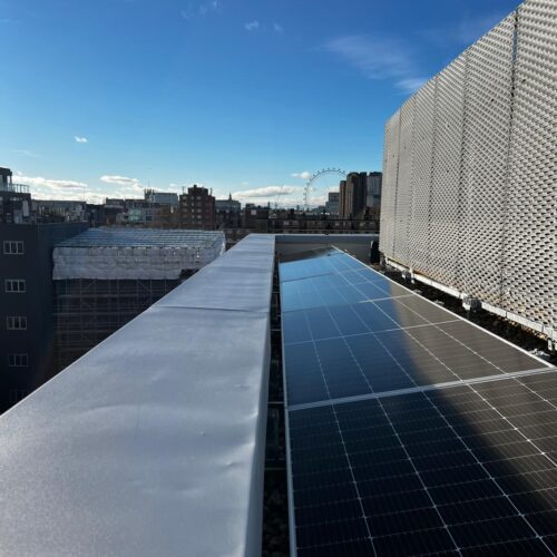 WhatsApp Image 2025-12-11 at 08.36.29 (4)