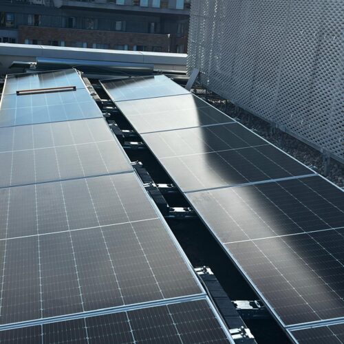 WhatsApp Image 2025-12-11 at 08.36.29