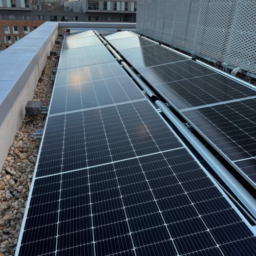 WhatsApp Image 2025-12-11 at 08.36.30