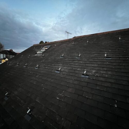 WhatsApp Image 2025-12-11 at 08.52.46