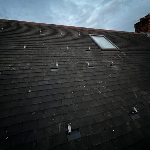 WhatsApp Image 2025-12-11 at 08.52.47