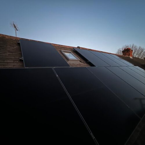 WhatsApp Image 2025-12-11 at 08.52.50